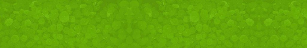 戴尼提大安書店