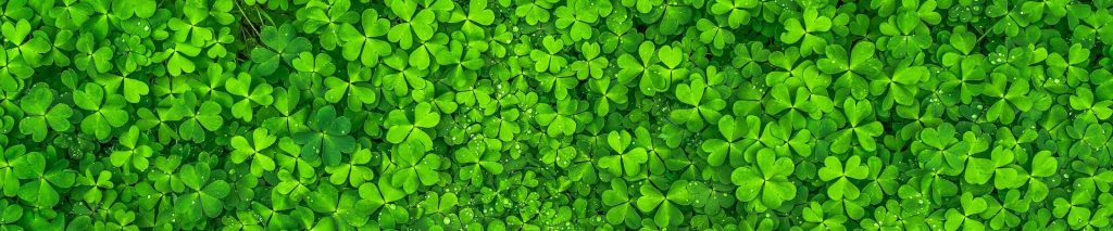 戴尼提大安書店