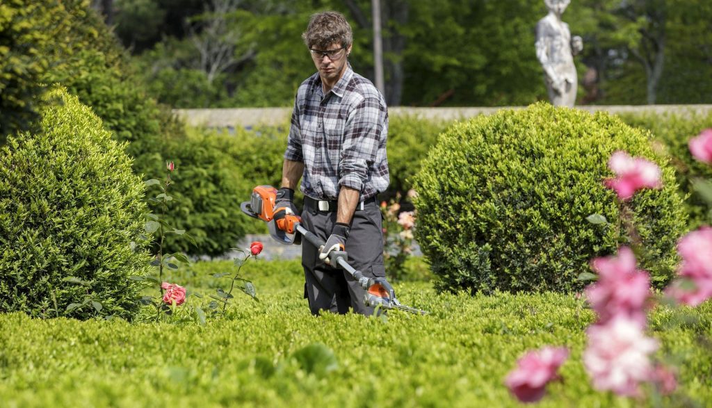 戴尼提大安書店