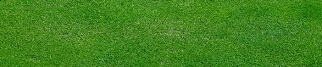 戴尼提大安書店