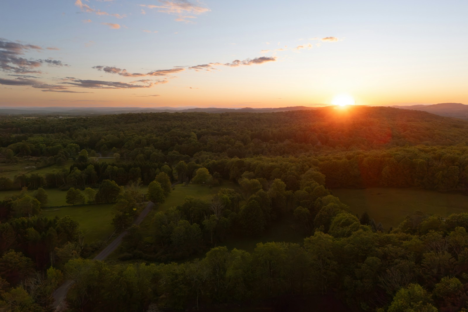 Golden sunset over a vast green forest landscape.